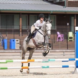 Meet your Posher, Laurel